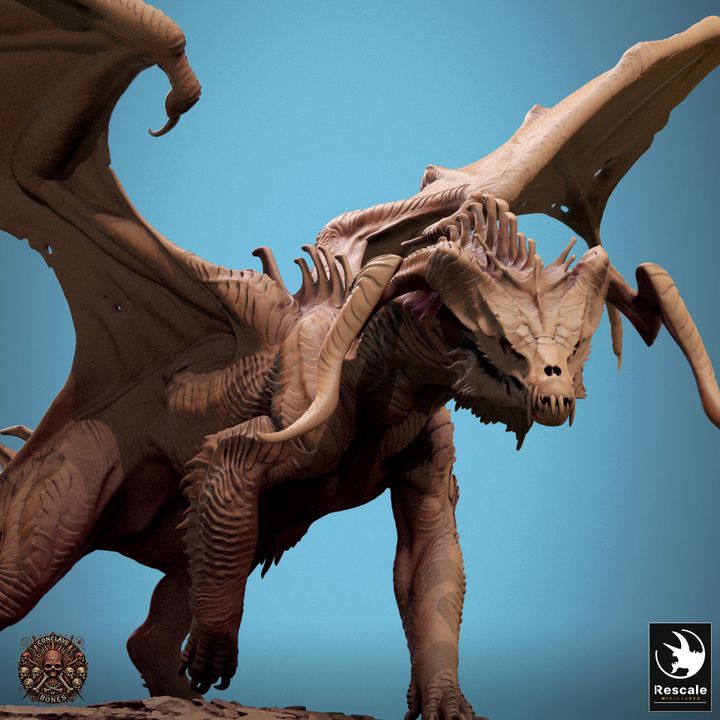 Adult Black Dragon