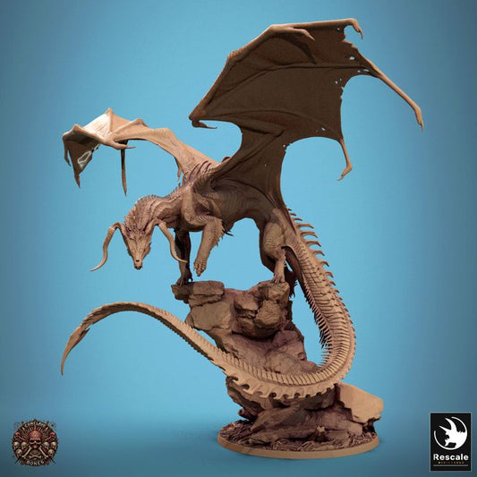 Adult Black Dragon