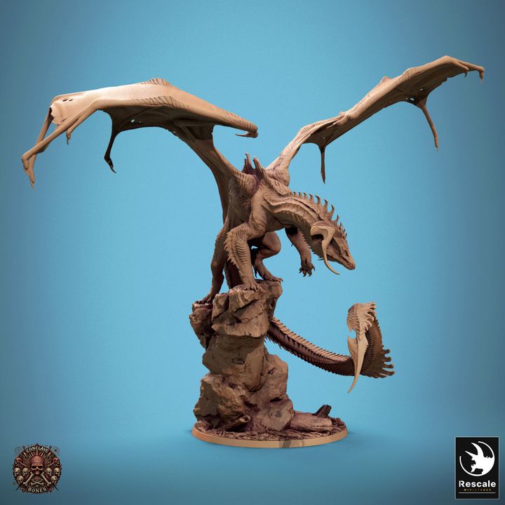Adult Black Dragon