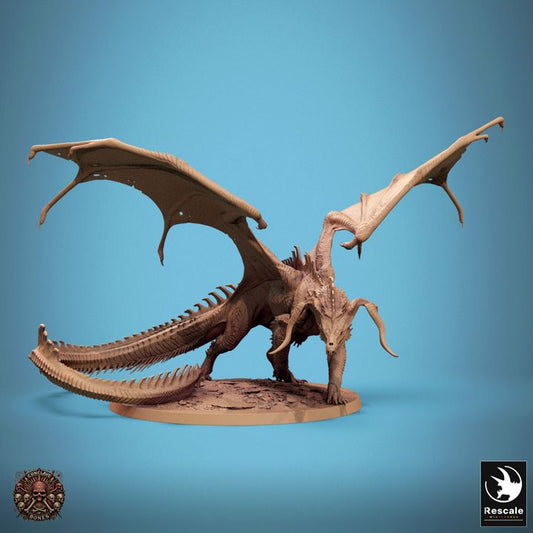 Adult Black Dragon