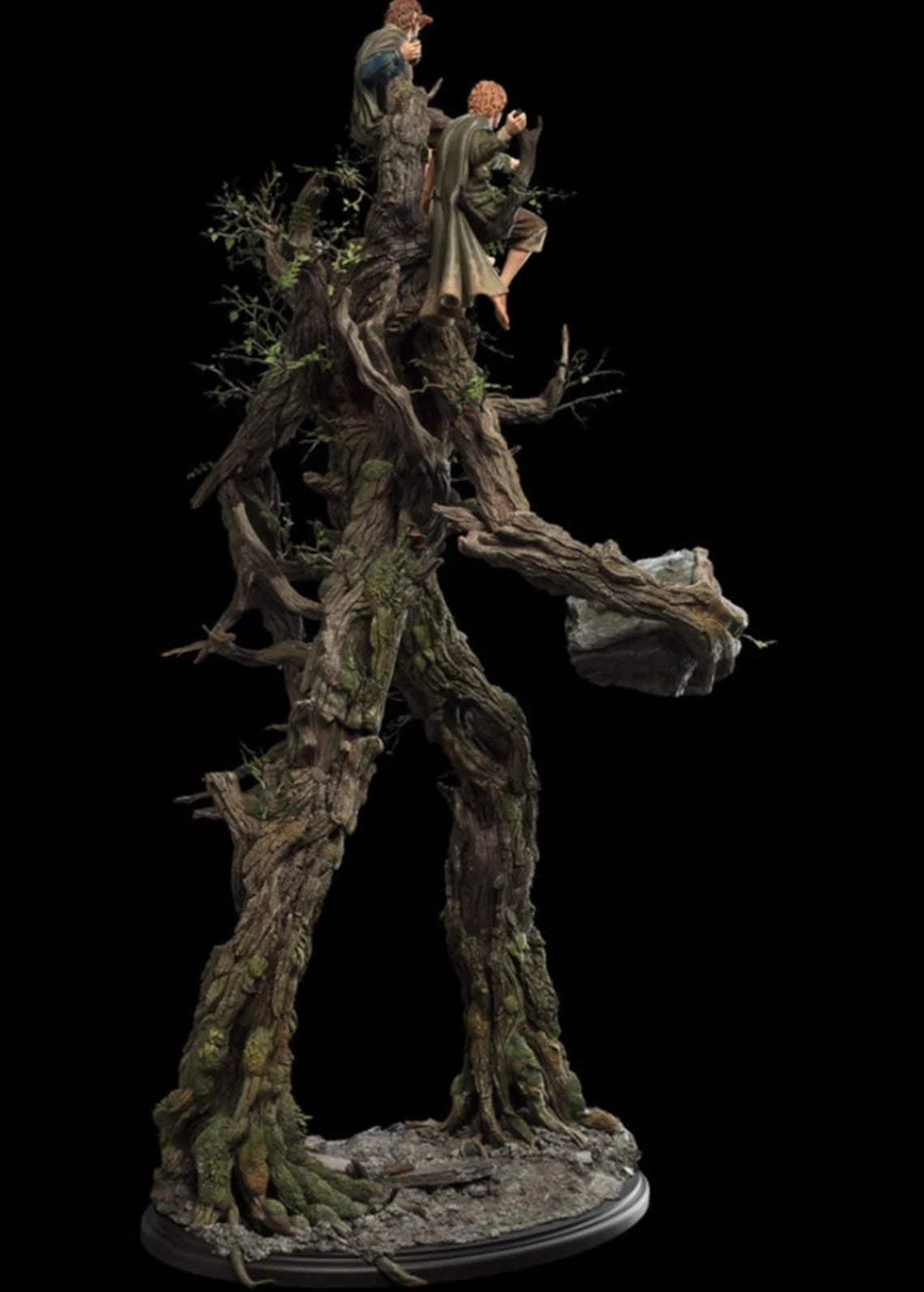 Tree Beard and the Hobbits