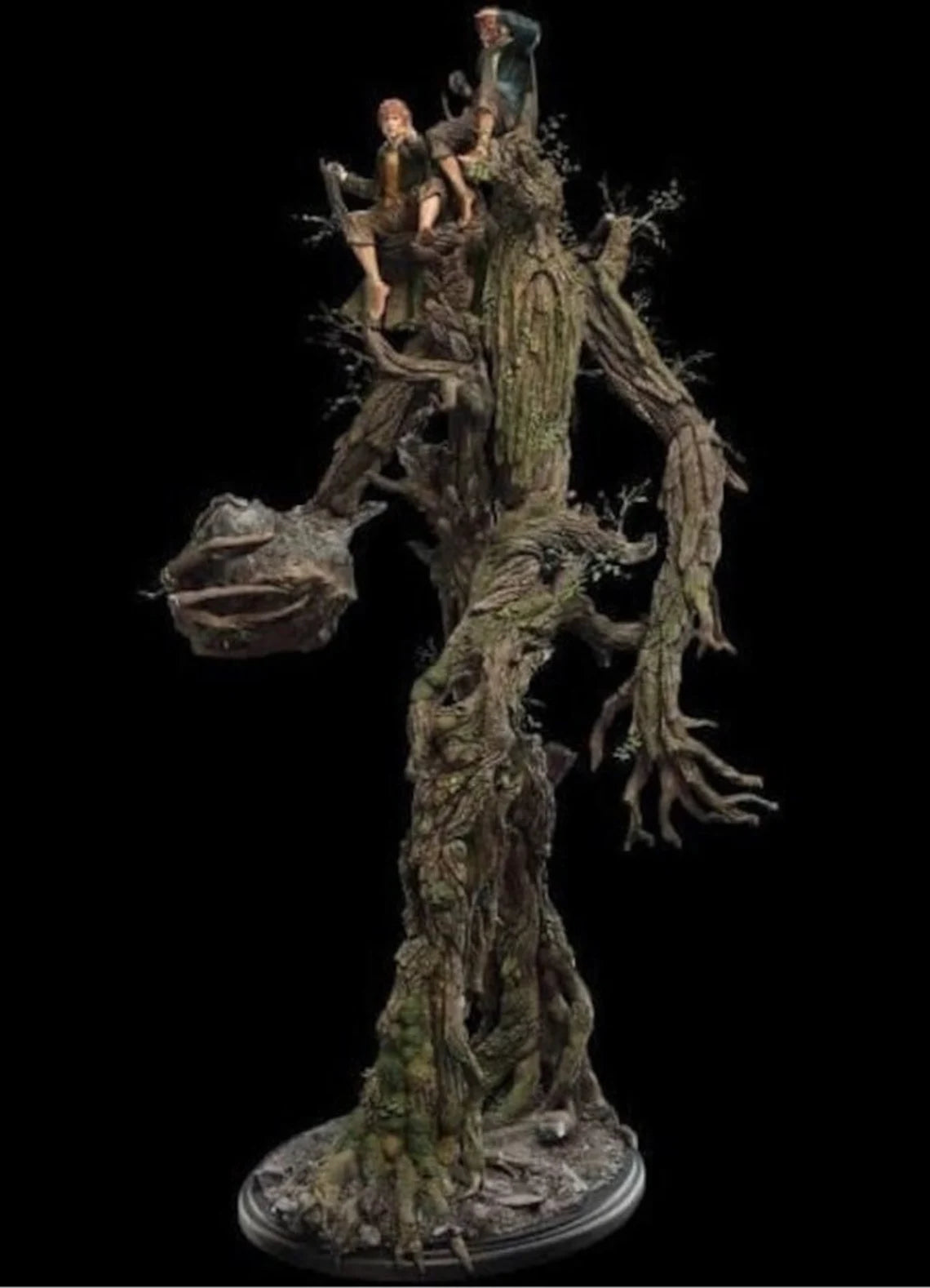 Tree Beard and the Hobbits